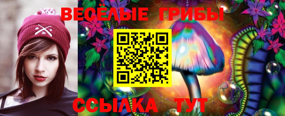 Псилоцибиновые грибы Psilocybine cubensis Нягань