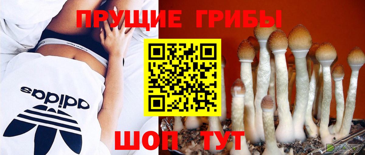 Нягань  Псилоцибиновые грибы ЛСД  Вход с VPN  Галлюциногенные грибы Psilocybine cubensis 